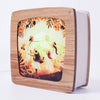 Midsummer Seasonal Transparency | ©Conscious Craft